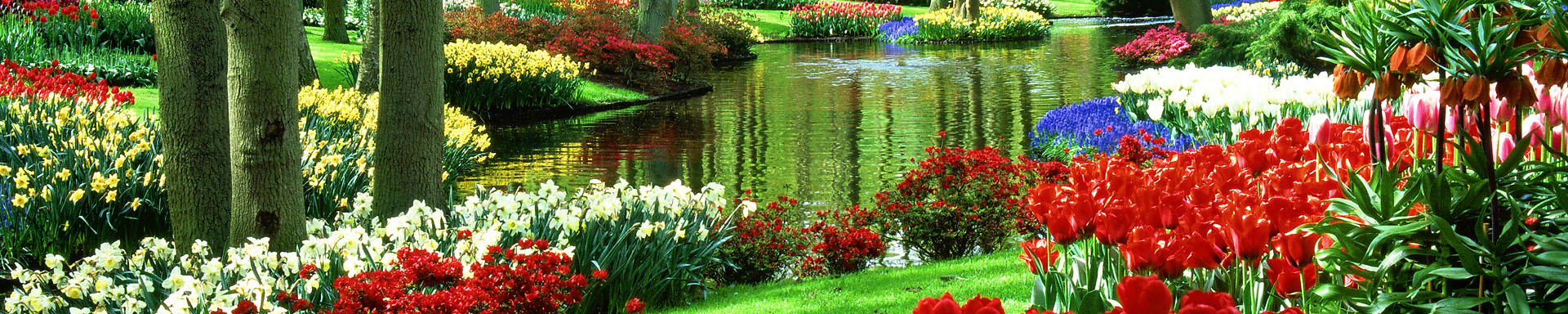 picture of garden